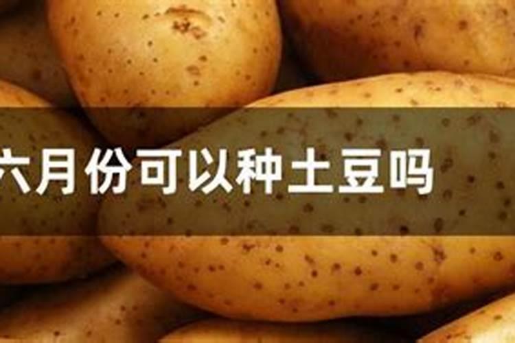 苹果树6月份施什么肥 苹果树6月份施什么肥呢