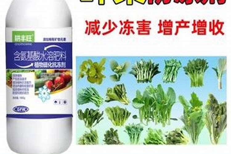 小麦除草剂能和芸苔素混用吗