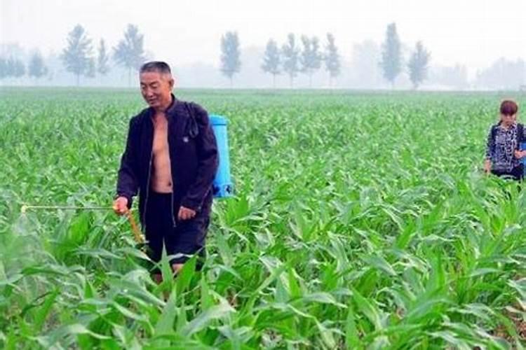中国水溶肥十大品牌