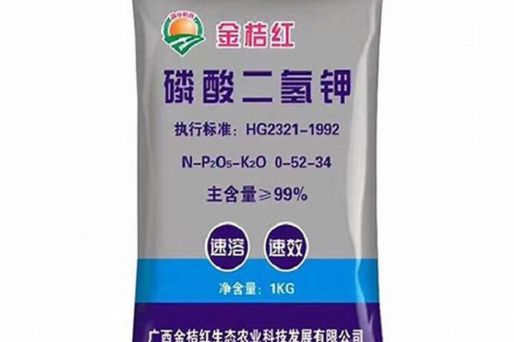 枇杷花期注意什么 枇杷管理技术介绍