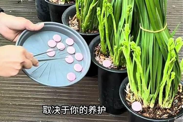化肥用到地里多长时间起作用甲肥、