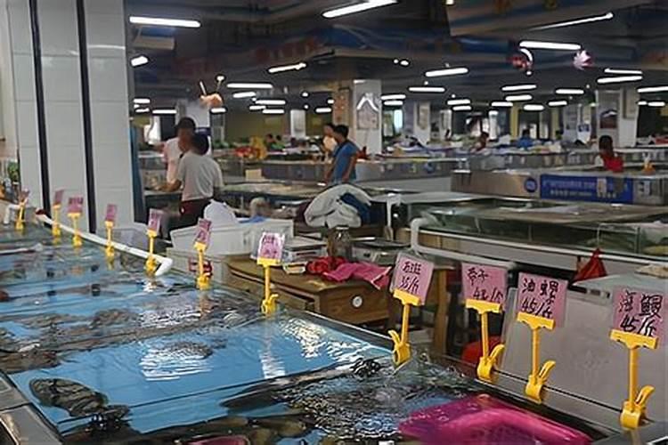 传统小麦耕种需要鱼蛋白肥吗