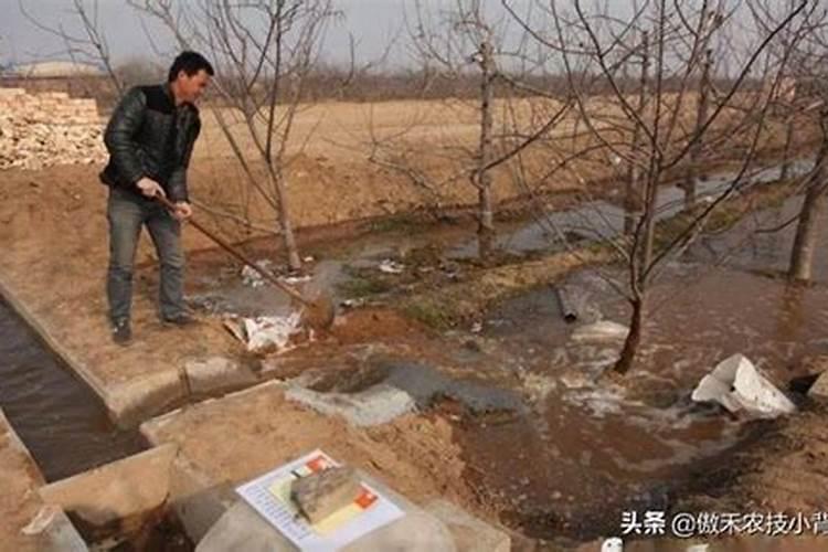 苹果树冻害的原因有哪些？