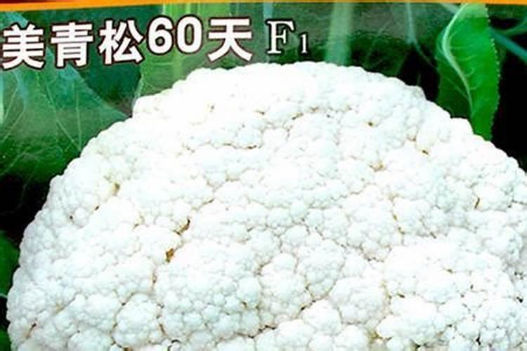 柑桔施钾肥最佳时间 正确使用方法有哪些