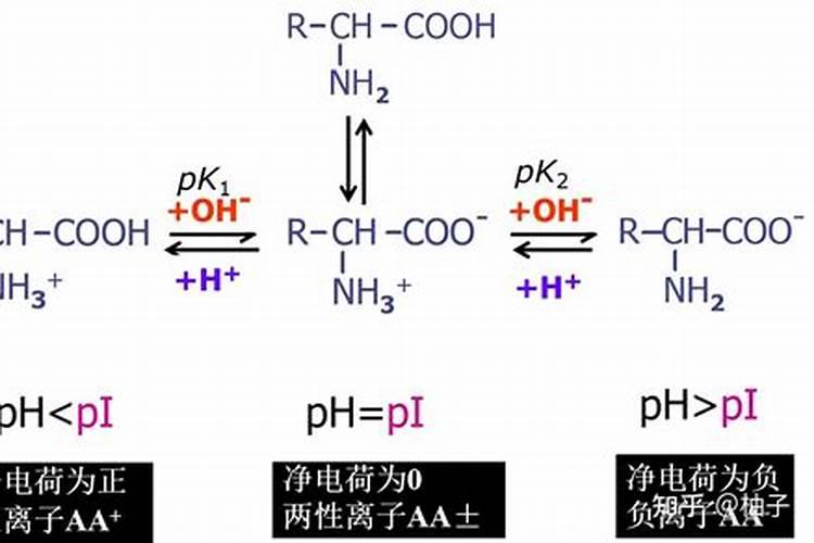 平衡水溶肥配方 平衡型水溶肥用法与注意事项
