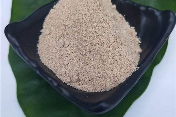 君子兰久不开花怎么办？
