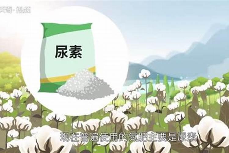 花生底肥的最佳配方