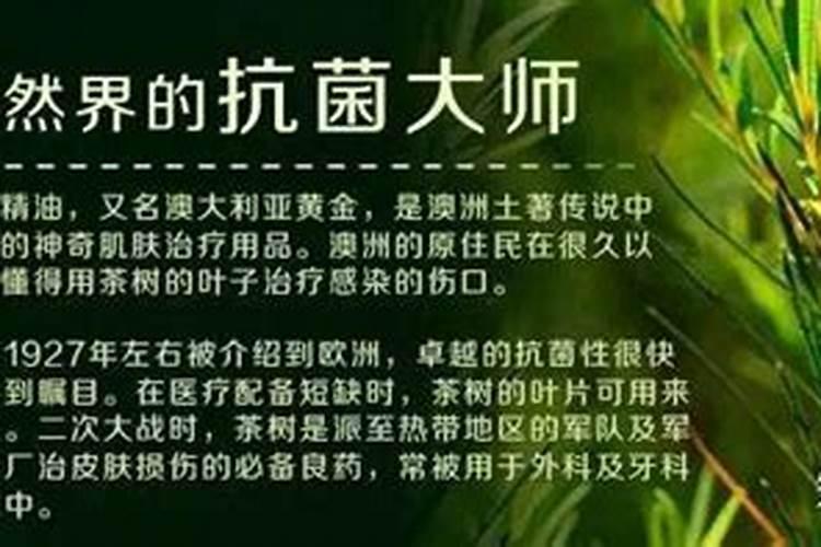 荷兰豆多久施肥一次