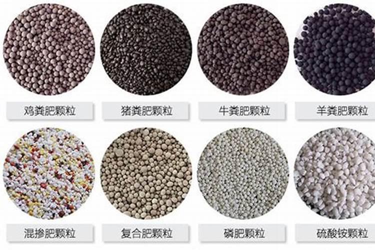 黄瓜秧太细怎么变粗