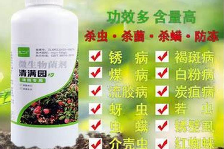 果树清园用什么药最好