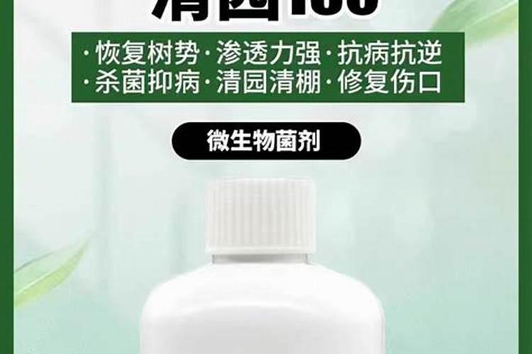 果树冬季清园什么时间最佳