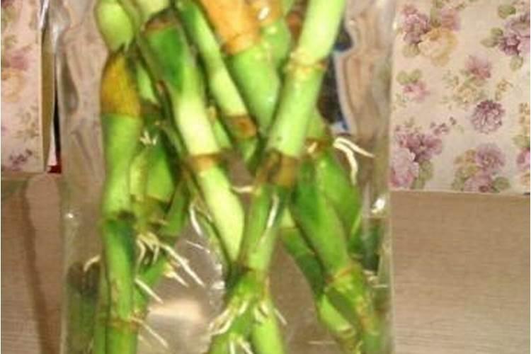 在使用水溶肥时,如何根据环境正确施肥？