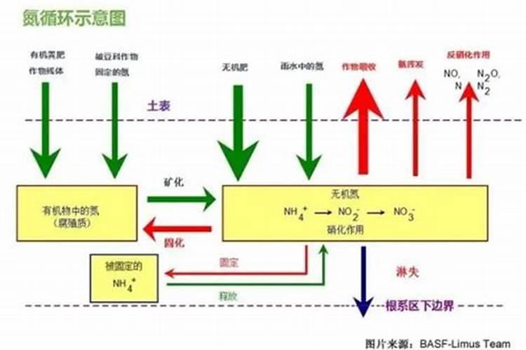 种菜用什么肥料最好