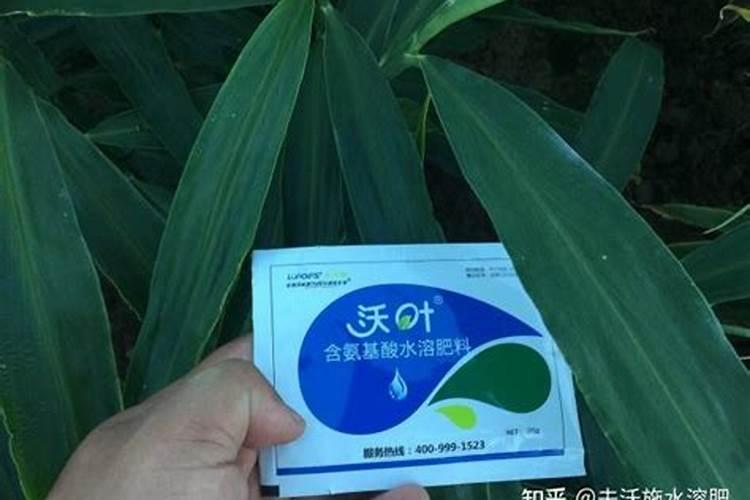 葫芦坐果期如何施肥