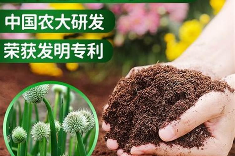 种大蒜用什么肥料好