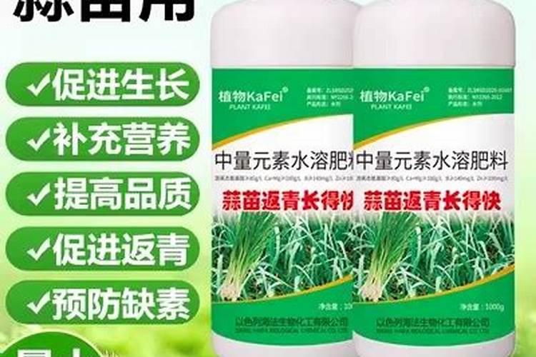 蒜苗生长期能用冲施肥啊怎么用啊
