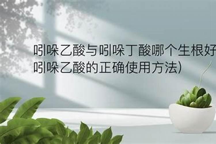 就苗菌司可与生根粉混用吗