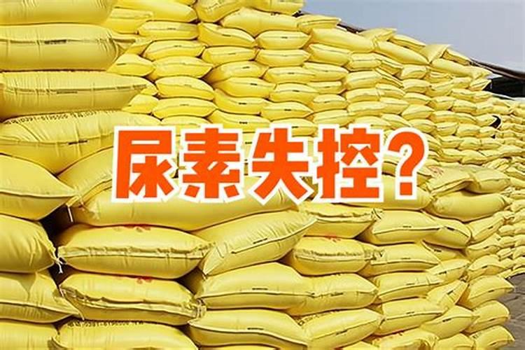莲藕的较佳种植时间 莲藕较佳种植时间是什么时候