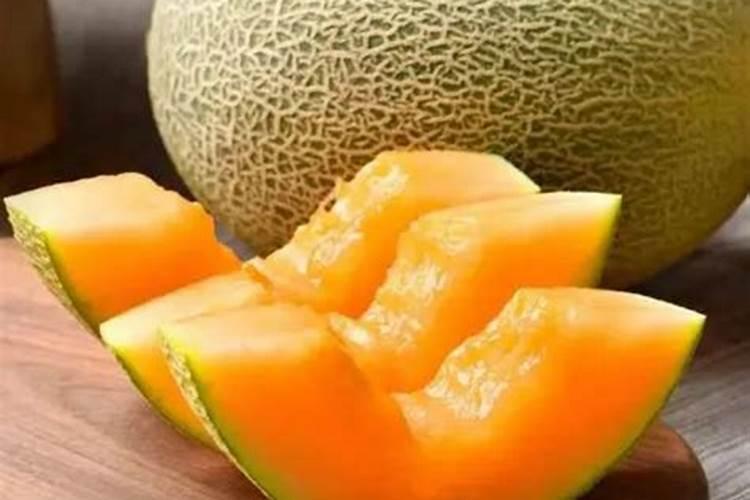 麻烦大家帮忙看下这个哈密瓜的叶子是怎么回事？
