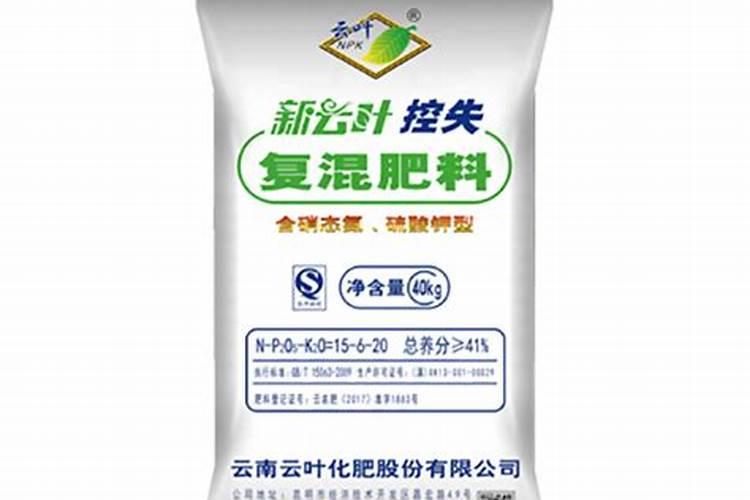 沙糖桔扫把枝怎么修剪