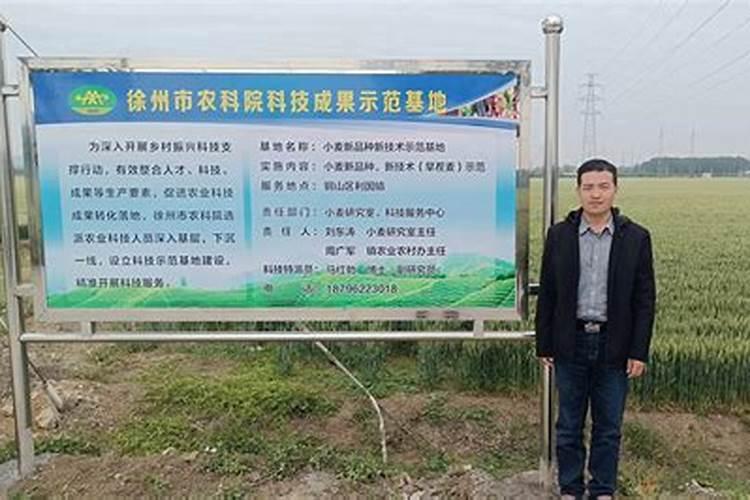 施可丰长效缓释肥效果怎么样