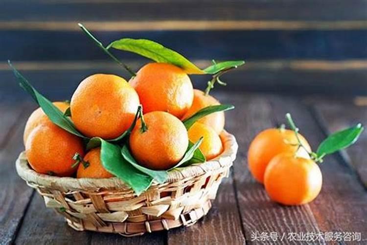 瓜果蔬菜有苦味,是施肥不对,还是栽培管理有问题？