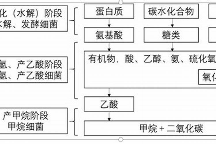 芸苔素灌根后有啥危害