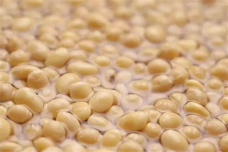 油菜什么时候施硼肥