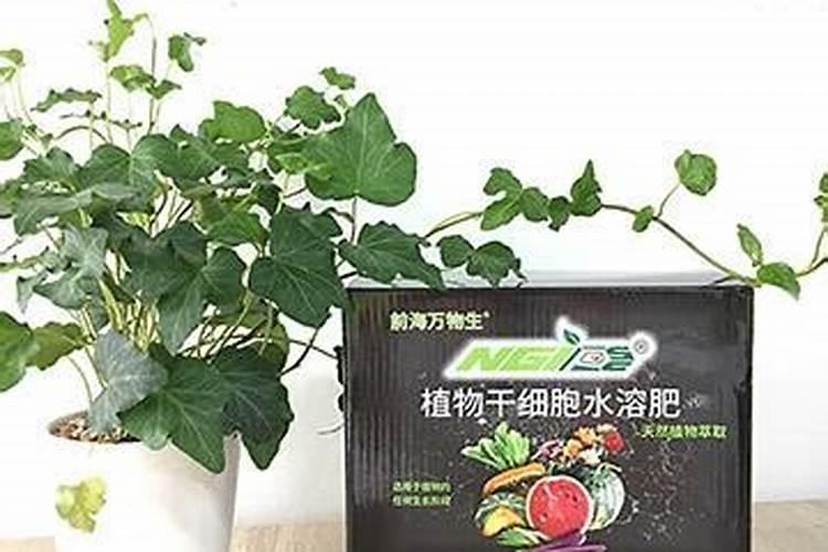 什么是有机肥料,有机肥料的作用是什么？