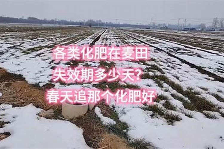 天脊硝酸磷肥80斤多少钱一袋