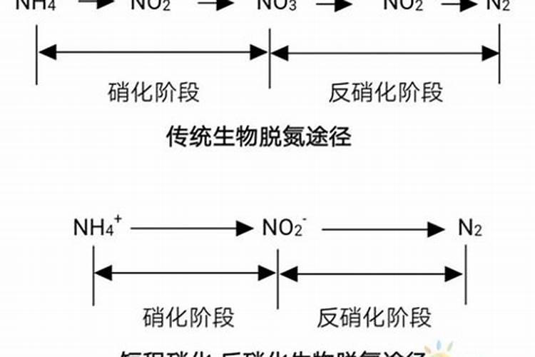稻子怎么种植的产量最大？收益最高？