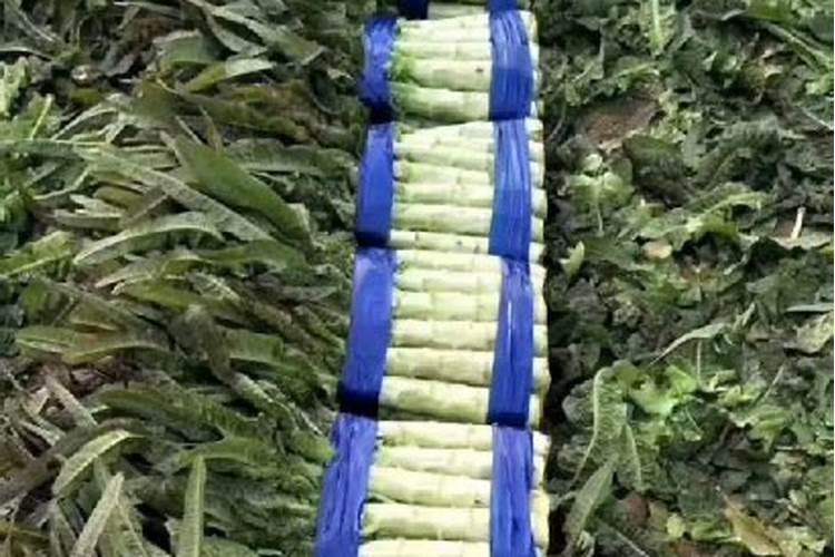 磷肥有哪几种