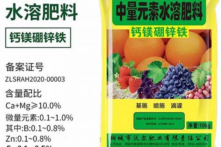 种青菜如何正确施肥