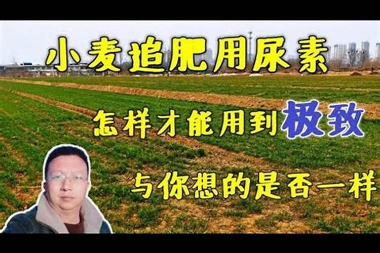 种小麦50斤二铵20斤钾肥20斤尿素可以吗？