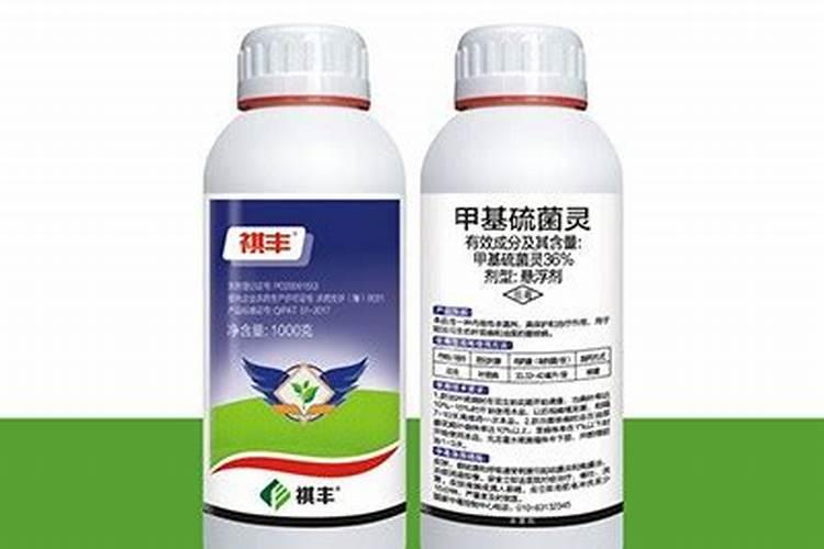 扶手的叶片长白班怎么防治？