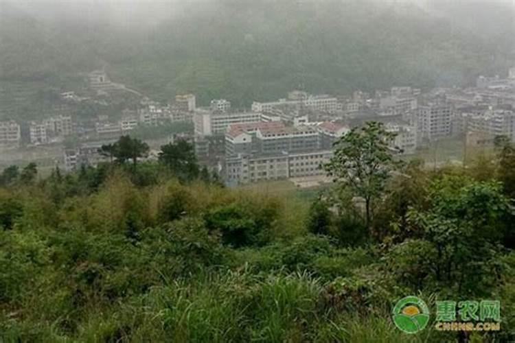 陕西泰森农化稀土叶面肥怎么样？