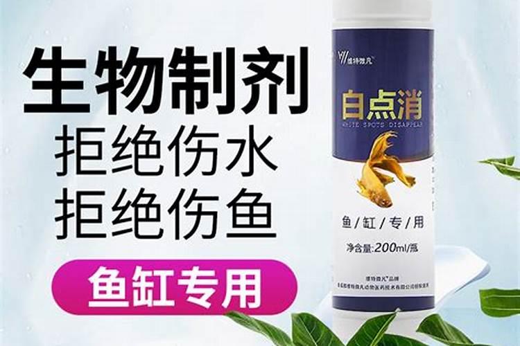 有机肥可以兑水直接浇菜吗