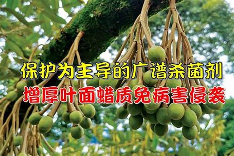 莴笋喷磷酸二氢钾叶面肥有什么效果