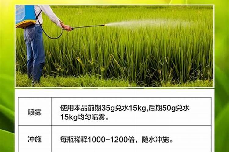 三角梅不开花施什么肥 怎么施肥效果好