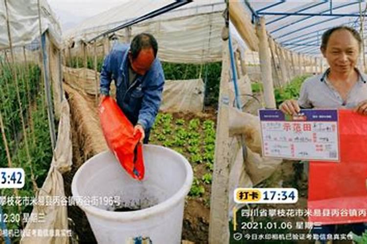 水溶肥干燥有什么方式