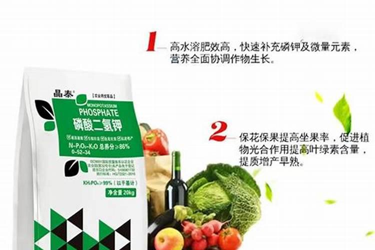 佛手瓜喜肥吗 喜欢施什么肥料