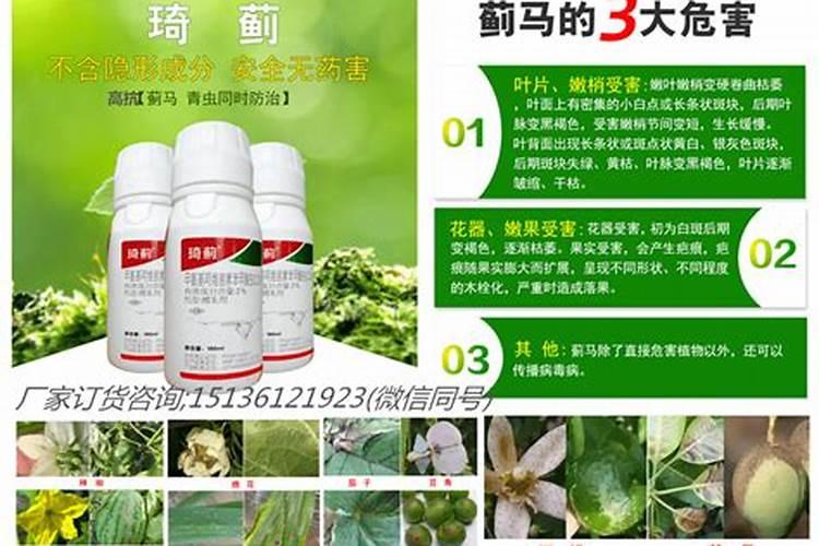 豆角蓟马害虫,用什药好？可否混合叶面肥或抑菌剂时喷施？谢