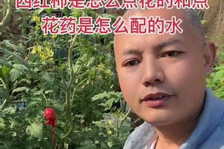 想要解决种植番茄坐果率低的问题,都有哪些方法呢？