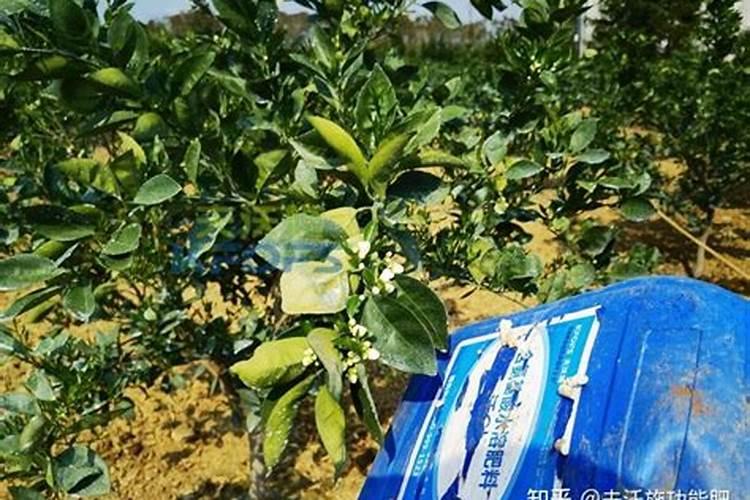 菏泽星光粮油食品有限公司怎么样？