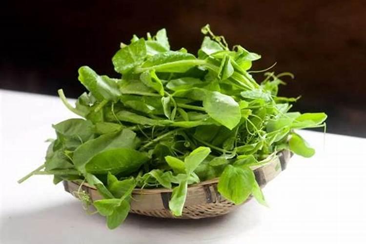 豌豆尖在采摘之后需要打药吗？打什么药比较好？