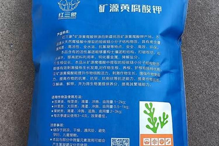 龙眼树苗怎么施肥