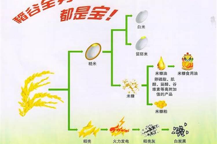 碳酶海藻鱼蛋白什么时候使用最好