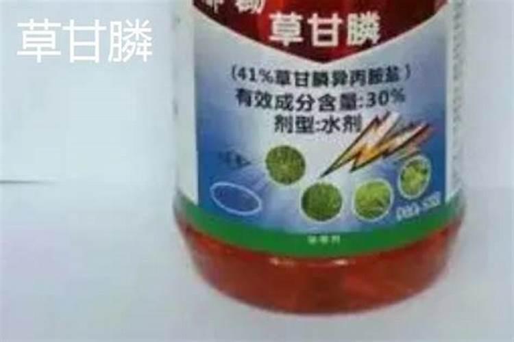 树根如何快速腐烂