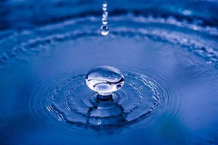 什么叫“肥水”？怎样识别？