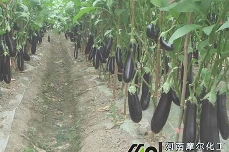人教版高一化学教学设计